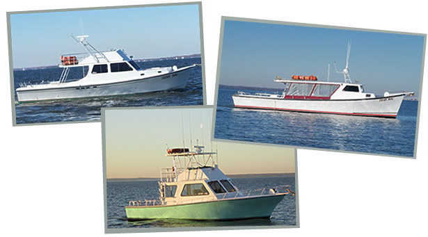 Lead Dog, Lucky Dog and Under Dog Charter Boat Photos